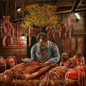 Sensor Motorik : Anatomy of the Human Vasculature